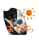 ちゃむの好きぴすたんぷ（個別スタンプ：1）