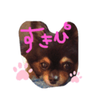 ちゃむの好きぴすたんぷ（個別スタンプ：4）