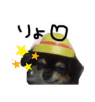 ちゃむの好きぴすたんぷ（個別スタンプ：5）