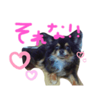 ちゃむの好きぴすたんぷ（個別スタンプ：6）