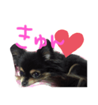 ちゃむの好きぴすたんぷ（個別スタンプ：8）