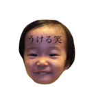 かこまるちゃんスタンプ（個別スタンプ：1）
