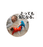 我が家のワイワイスタンプ  ver.1（個別スタンプ：24）