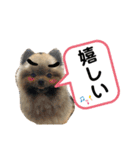 わんわんずPart2（個別スタンプ：22）