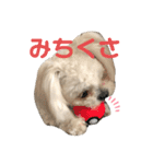 シロンちゃん（個別スタンプ：4）
