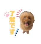 ちょろちゃん(敬語)（個別スタンプ：1）