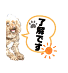 ちょろちゃん(敬語)（個別スタンプ：2）