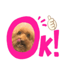 ちょろちゃん(敬語)（個別スタンプ：3）