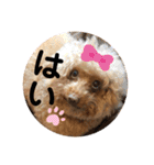 ちょろちゃん(敬語)（個別スタンプ：4）