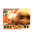 ちょろちゃん(敬語)（個別スタンプ：6）