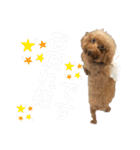 ちょろちゃん(敬語)（個別スタンプ：11）
