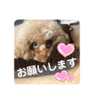 ちょろちゃん(敬語)（個別スタンプ：13）