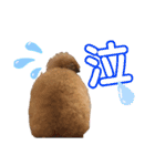 ちょろちゃん(敬語)（個別スタンプ：17）