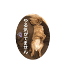 ちょろちゃん(敬語)（個別スタンプ：20）