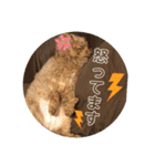 ちょろちゃん(敬語)（個別スタンプ：22）