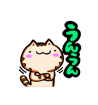 ぺんた と ちゃぁさん（個別スタンプ：25）