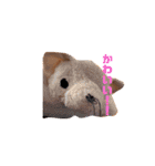 cocoスタンプだぞ2（個別スタンプ：9）