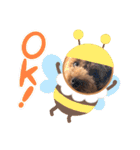 cocoスタンプだぞ2（個別スタンプ：15）