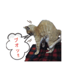 影からウシ（個別スタンプ：4）