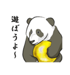 親子パンダの日常（個別スタンプ：11）