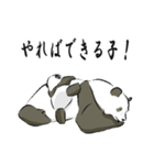 親子パンダの日常（個別スタンプ：19）