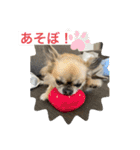 私はちこです。II（個別スタンプ：8）