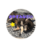 ちろるの日常！（個別スタンプ：3）