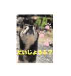 ちろるの日常！（個別スタンプ：5）