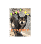 ちろるの日常！（個別スタンプ：7）