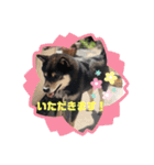 ちろるの日常！（個別スタンプ：10）