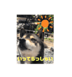 ちろるの日常！（個別スタンプ：12）