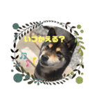ちろるの日常！（個別スタンプ：14）