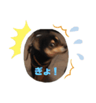 ちろるの日常！（個別スタンプ：16）