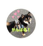 ちろるの日常！（個別スタンプ：17）