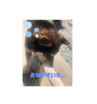 ちろるの日常！（個別スタンプ：18）
