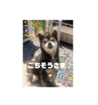 ちろるの日常！（個別スタンプ：19）