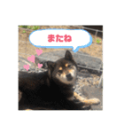 ちろるの日常！（個別スタンプ：22）