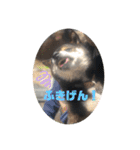 ちろるの日常！（個別スタンプ：23）