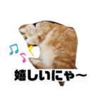 トラとの幸せライフ2（個別スタンプ：4）