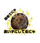 トラとの幸せライフ2（個別スタンプ：5）