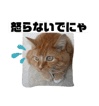 トラとの幸せライフ2（個別スタンプ：18）