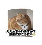 トラとの幸せライフ2（個別スタンプ：21）
