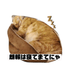 トラとの幸せライフ2（個別スタンプ：30）