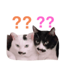 しろくろのドキドキスタンプ修正版（個別スタンプ：7）