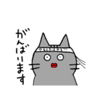 シュールな猫（使える）（便利！たぶん。）（個別スタンプ：8）