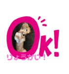 りきくんだよ（個別スタンプ：5）