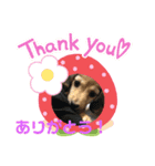 りきくんだよ（個別スタンプ：8）