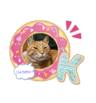 きなこ☆こむぎ（個別スタンプ：10）