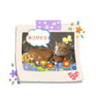 きなこ☆こむぎ（個別スタンプ：13）