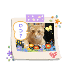 きなこ☆こむぎ（個別スタンプ：18）